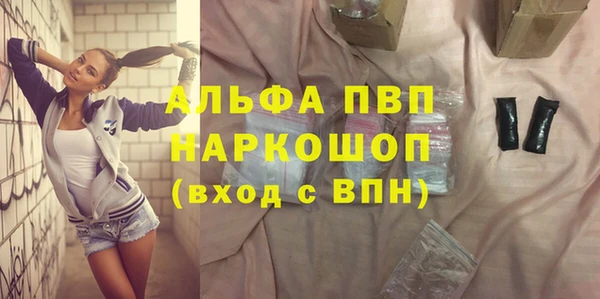 индика Богородск