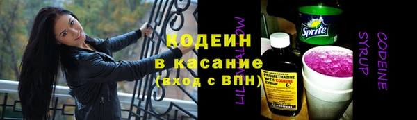 индика Богородск