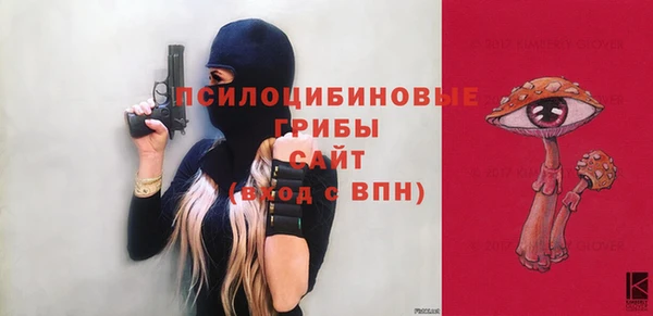 меф Богородицк