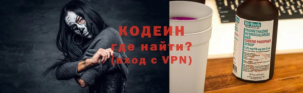 индика Богородск