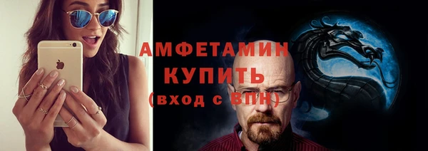 индика Богородск