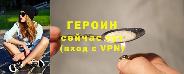 индика Богородск