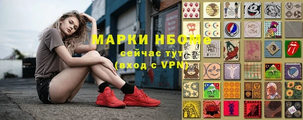 индика Богородск