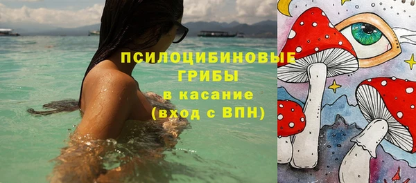гашишное масло Богданович