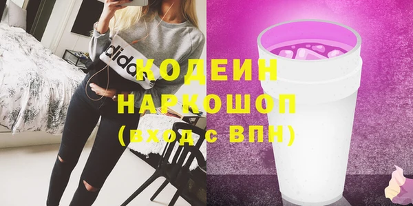 индика Покровск