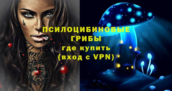 меф Богородицк