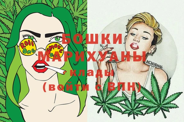 стаф Белокуриха