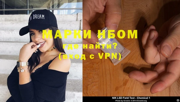 индика Богородск