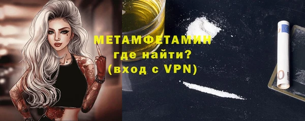 индика Богородск