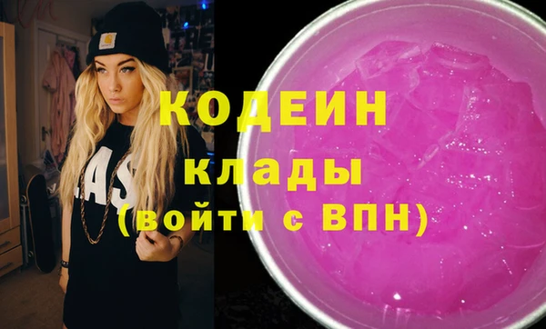 индика Богородск