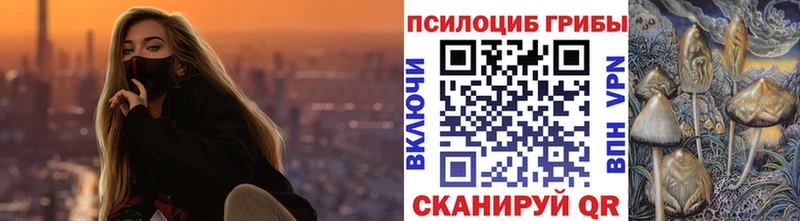 Псилоцибиновые грибы мухоморы  дарк нет как зайти  Мценск 
